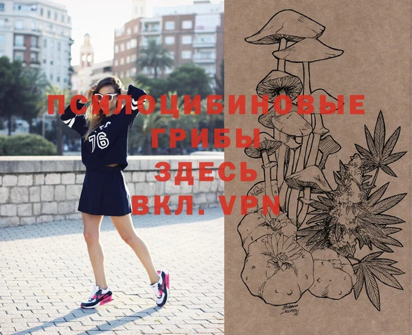 винт Надым