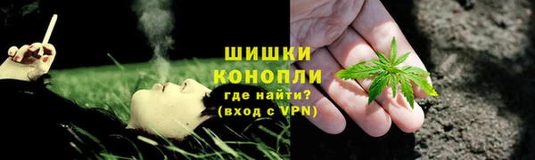 PSILOCYBIN Навашино