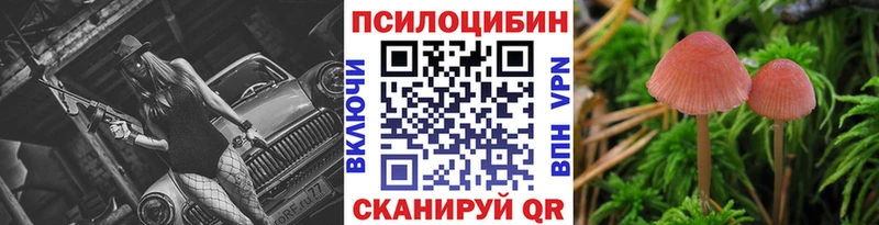 мега зеркало  Кизел  Псилоцибиновые грибы GOLDEN TEACHER  наркошоп 