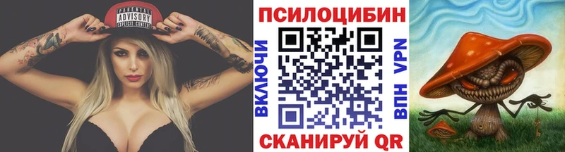 Галлюциногенные грибы Psilocybine cubensis Кизел